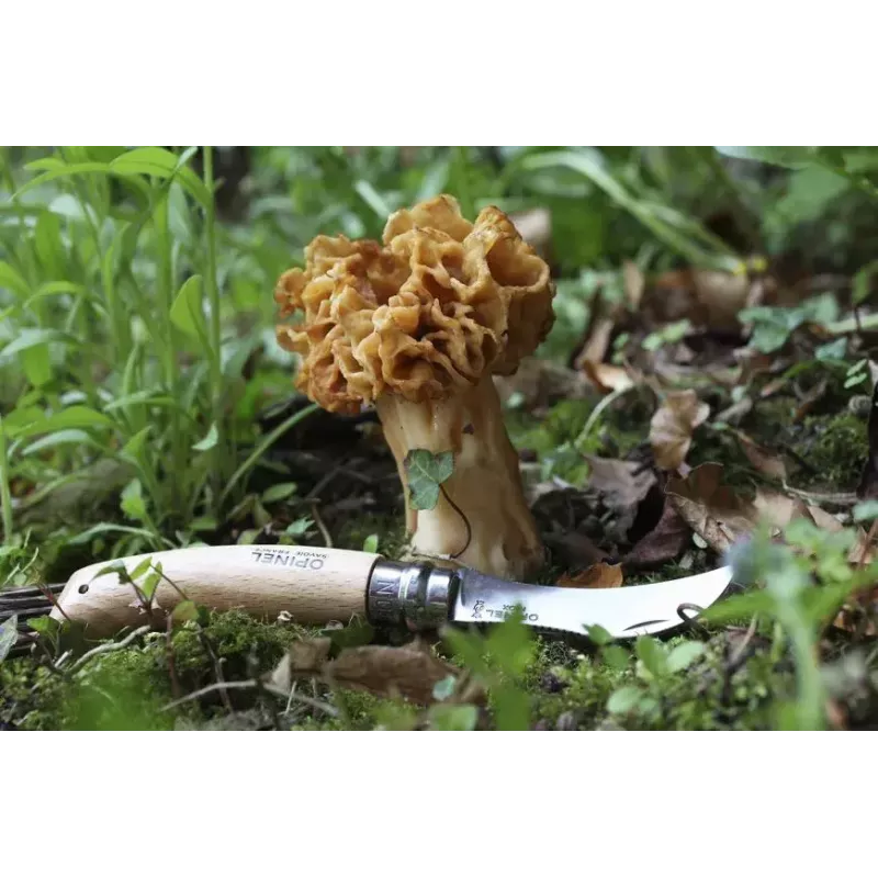 Taschenmesser Opinel