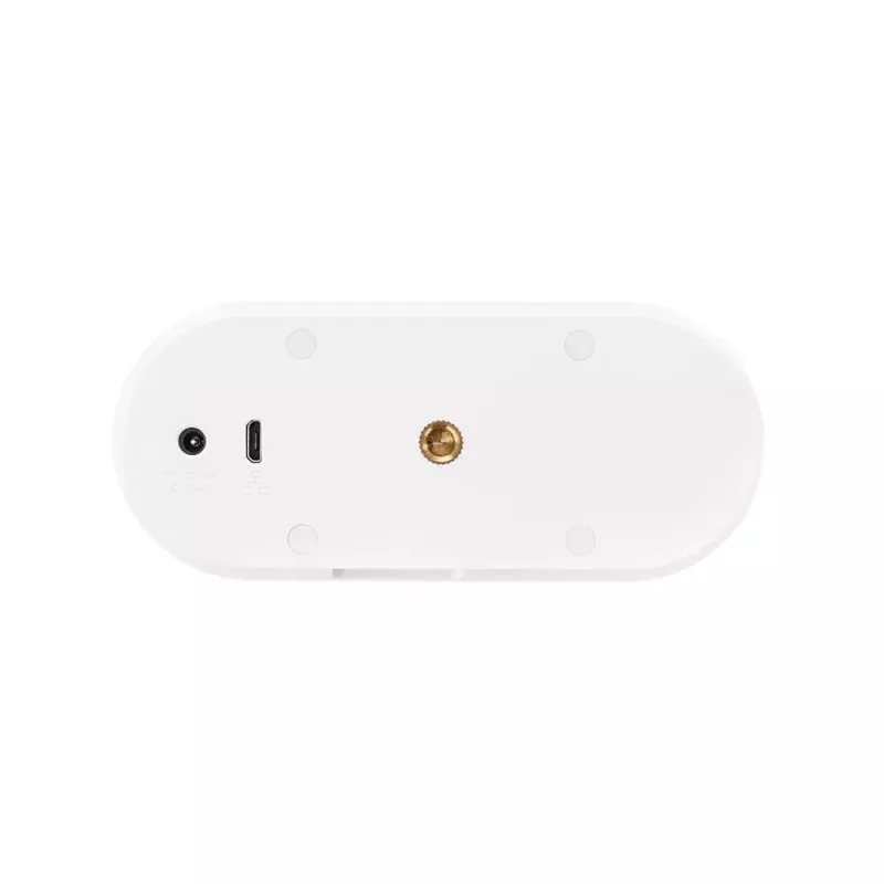 IP-Überwachungskamera ABUS PPIC31020