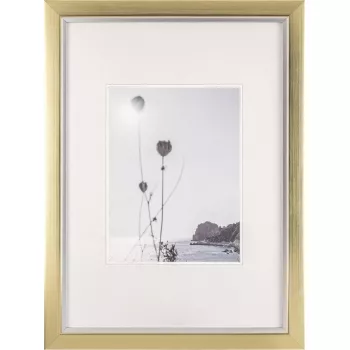Bilderrahmen Walther Beyond DIN A3 29,7×42 cm Kunstharz champagne/gold