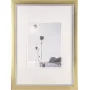 Bilderrahmen Walther Beyond DIN A3 29,7×42 cm Kunstharz champagne/gold