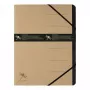 Konventioneller Aktenordner Pagna 40060-11