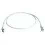 Netzwerkkabel Telegärtner MP8 FS500 LSZH 1m