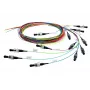 Telegärtner InfiniBand/Glasfaserkabel 2 m 12x SC mehrfarbig