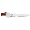 Netzwerkkabel EFB Elektronik K5518.30 RJ-45 Cat6 30 m Weiß