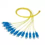 Glasfaserkabel EFB Elektronik O1023.2 2m 12x SC Gelb