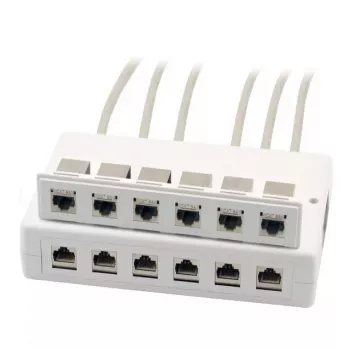 Outlet Box RJ-45 EFB Elektronik ET-25174.1