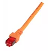 Netzwerkkabel EFB Elektronik K5516.50 RJ-45 Cat6 50 m Orange