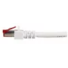 Netzwerkkabel EFB Elektronik K5518.50 RJ-45 Cat6 50 m Weiß