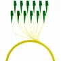 EFB Elektronik FTTH-PIGTAIL-LCA1 2m LC/APC 6x LC OS2 Glasfaserkabel