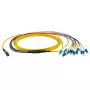 Glasfaserkabel EFB Elektronik MTPF12LCOS2-10 10 m
