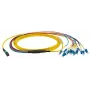 Glasfaserkabel EFB Elektronik MTPF12LCOS2-3