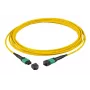 Glasfaserkabel EFB Elektronik MTPF12MTPFOS2-10-A MTP OS2 10 m Gelb