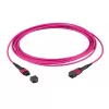 Glasfaser-MTP-Kabel EFB Elektronik MTPF24MTPFOM4-5-A — OM4, 5 m, MTP–MTP, 50 µm