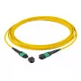 Glasfaserkabel EFB Elektronik MTPF24MTPFOS2-15-A MTP OS2 15 m Gelb