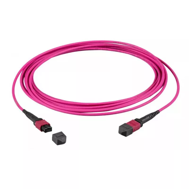 Glasfaser-MTP-Kabel EFB Elektronik MTPF72MTPFOM4-5-A — OM4, 5 m, MTP–MTP, 50 µm, violett