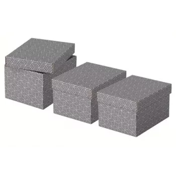 Aufbewahrungsbox Esselte 628281 Grau Rechteckig 200x255x150 mm