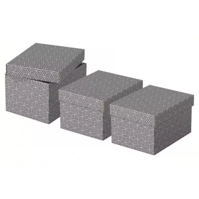 Aufbewahrungsbox Esselte 628281 Grau Rechteckig 200x255x150 mm