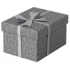 Aufbewahrungsbox Esselte 628281 Grau Rechteckig 200x255x150 mm