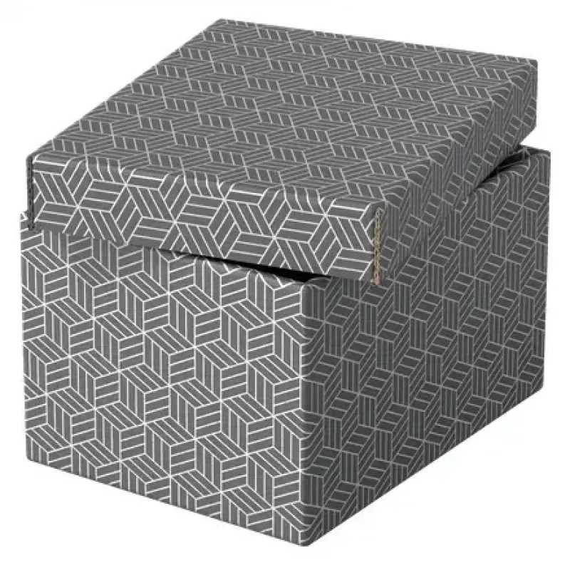 Aufbewahrungsbox Esselte 628281 Grau Rechteckig 200x255x150 mm