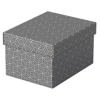 Aufbewahrungsbox Esselte 628281 Grau Rechteckig 200x255x150 mm
