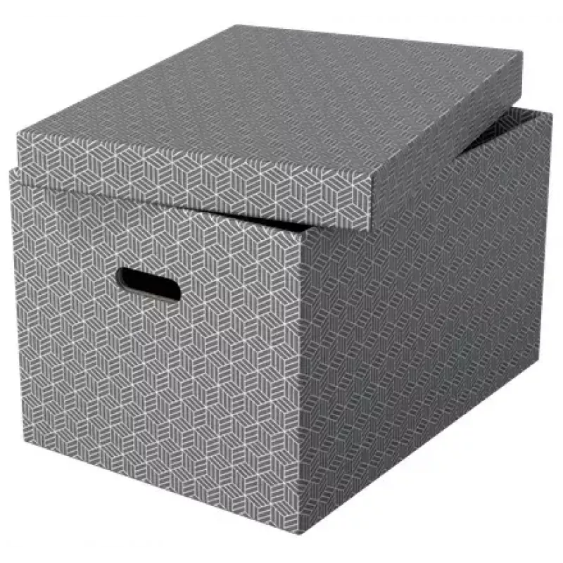Aufbewahrungsbox ESSELTE 628287 rechteckig Karton grau 355×510×305 mm