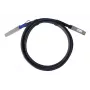 DAC-Kabel BlueOptics PAN-QSFPDD-DAC-1M-BL QSFP-DD InfiniBand 1m Schwarz