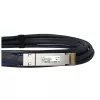 DAC-Kabel BlueOptics PAN-QSFPDD-DAC-2M-BL QSFP-DD InfiniBand 2 m Schwarz