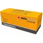 Alkalibatterie AGFA Professional C (Baby) – 10er-Pack