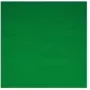 Camera Kit Walimex 16550 Grün Cotton 2850mm x 6000mm