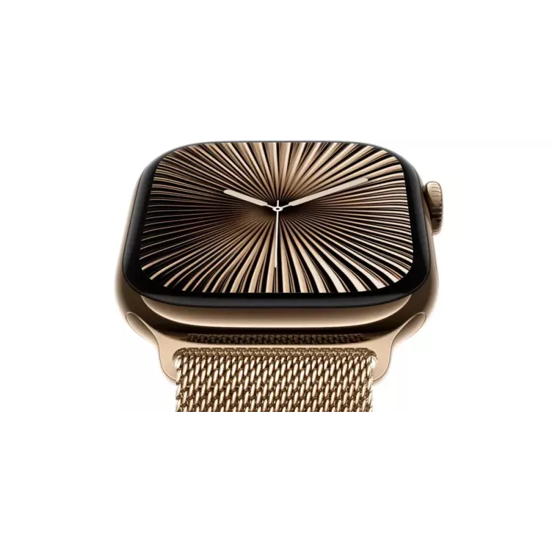 Smartwatch Apple Watch Series 10 GPS + Cellular 42mm Schiefer-Titan-Gehäuse Schwarz