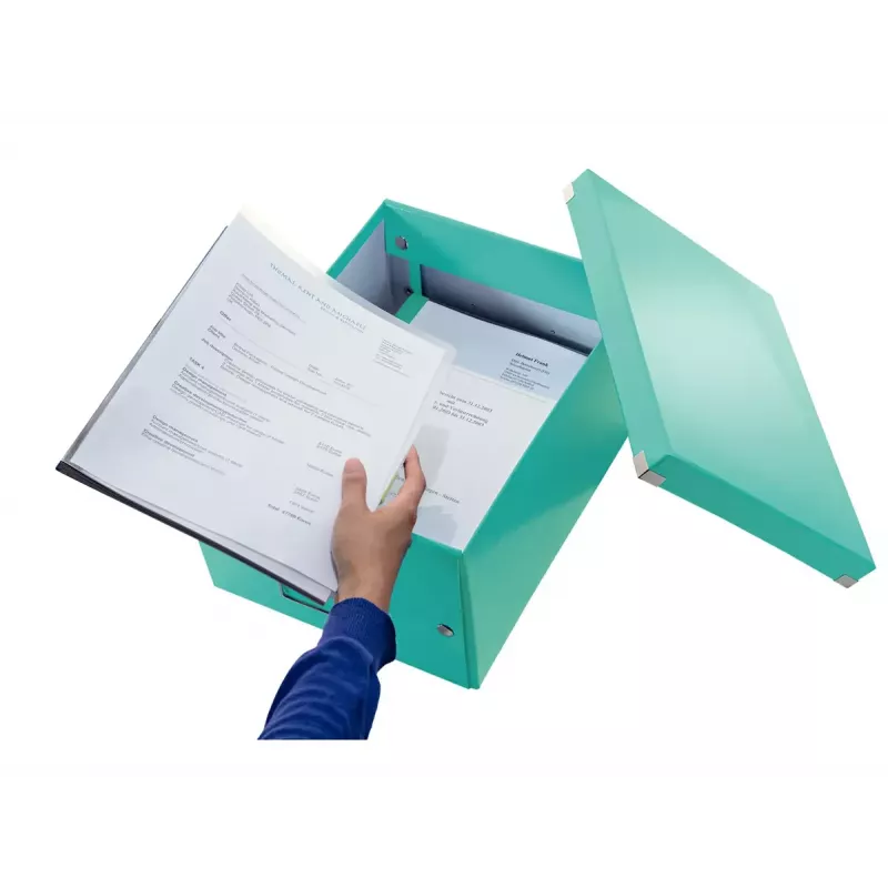 Aufbewahrungsbox Leitz Click & Store Medium Box