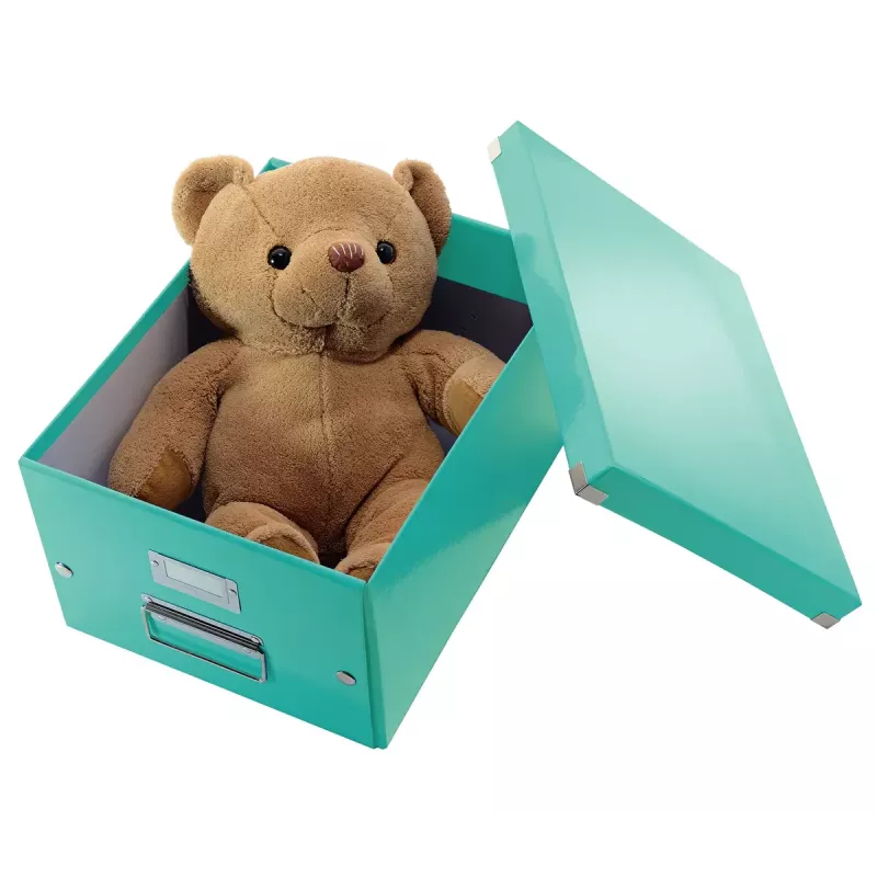 Aufbewahrungsbox Leitz Click & Store Medium Box