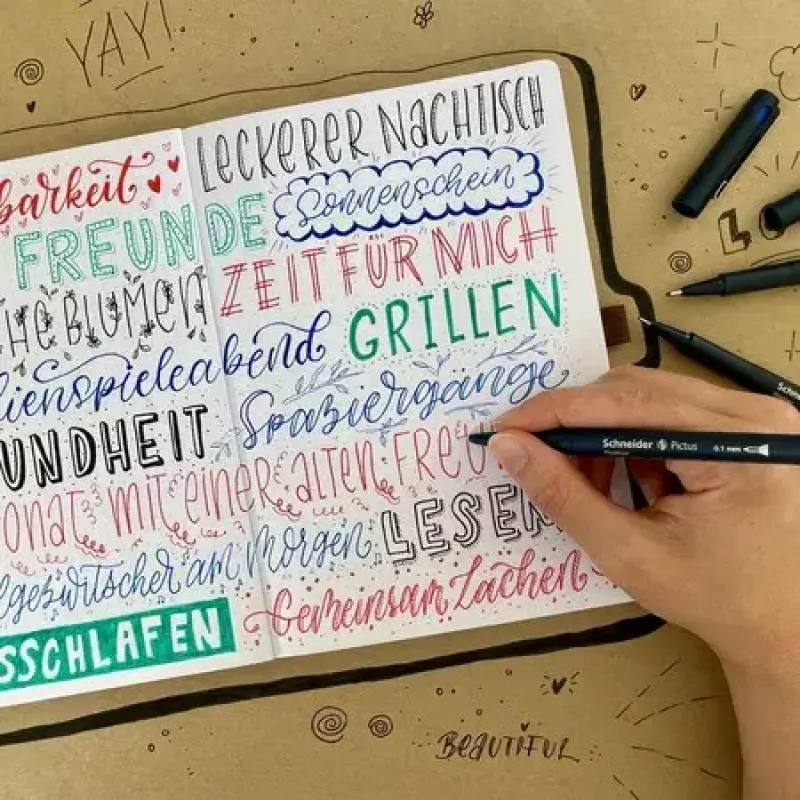 Fineliner Schneider Schreibgeräte Pictus Schwarz Blau Grün Rot 5 Stück