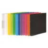 Ringbuch Pagna 20901-19 A4 Transparent