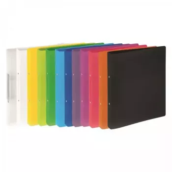 Ringbuch Pagna 20900-02 A4 Weiß