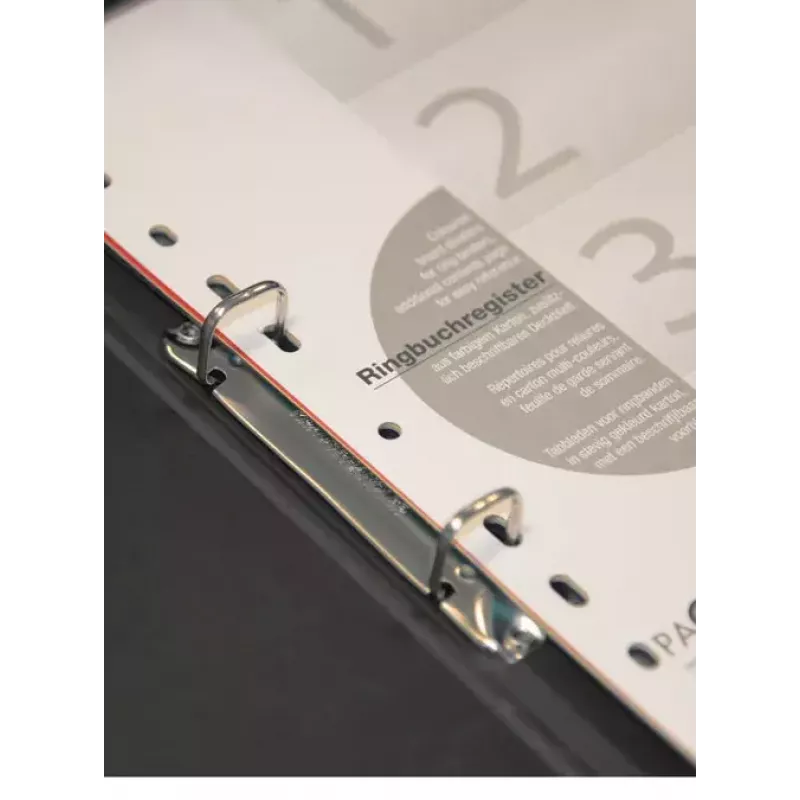 Ringbuch Pagna 30500-11 A4