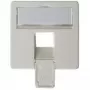 Frontplatte 50×50 mm für AMJ45 8/8 UP/O, Telegärtner, alpinweiß