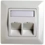 RJ45-Adapterrahmen Cat.5e Telegärtner H02010A0040 45° Doppel 80x80 mm Alpinweiß