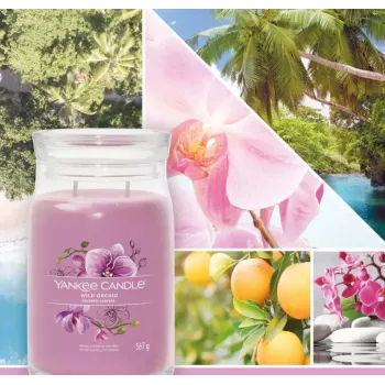 Wachskerze Yankee Candle Wild Orchid Höhe 157 mm Breite 93 mm