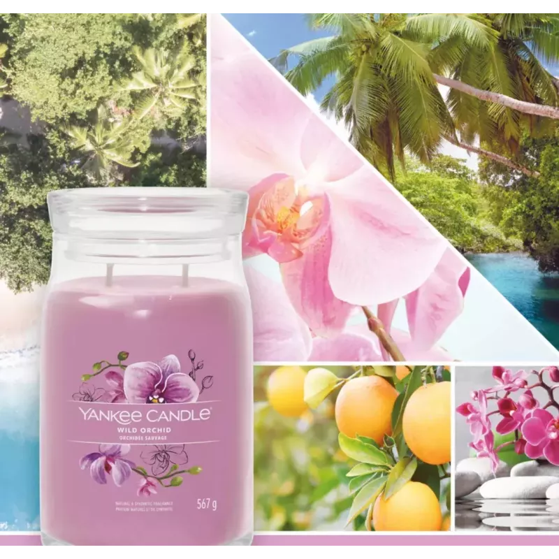 Wachskerze Yankee Candle Wild Orchid Höhe 157 mm Breite 93 mm