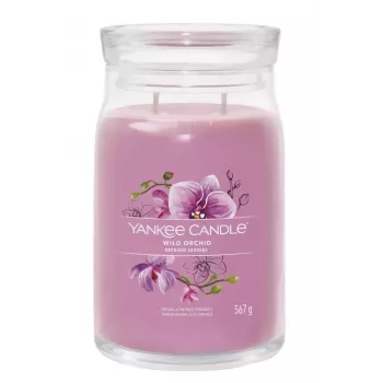 Wachskerze Yankee Candle Wild Orchid Höhe 157 mm Breite 93 mm