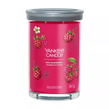 Wachskerze Zylinder Yankee Candle 1724404E Höhe 149 mm Durchmesser 9,9 cm
