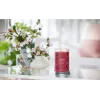 Wachskerze Yankee Candle 1724478E Kirschrot 149 mm 567 g