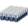 Batterie Panasonic Powerline Mono LR2020AD 24er-Pack, Knopfzelle