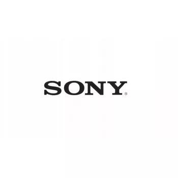 LCD-Modul Sony A2170075A — 3-Zoll-Displaypanel für elektronische Geräte