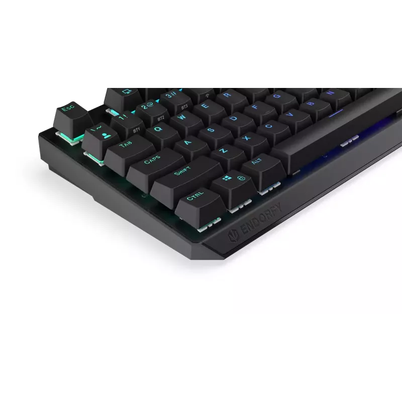 Gaming Tastatur ENDORFY Thock RF Wireless USB Mechanical RGB Schwarz