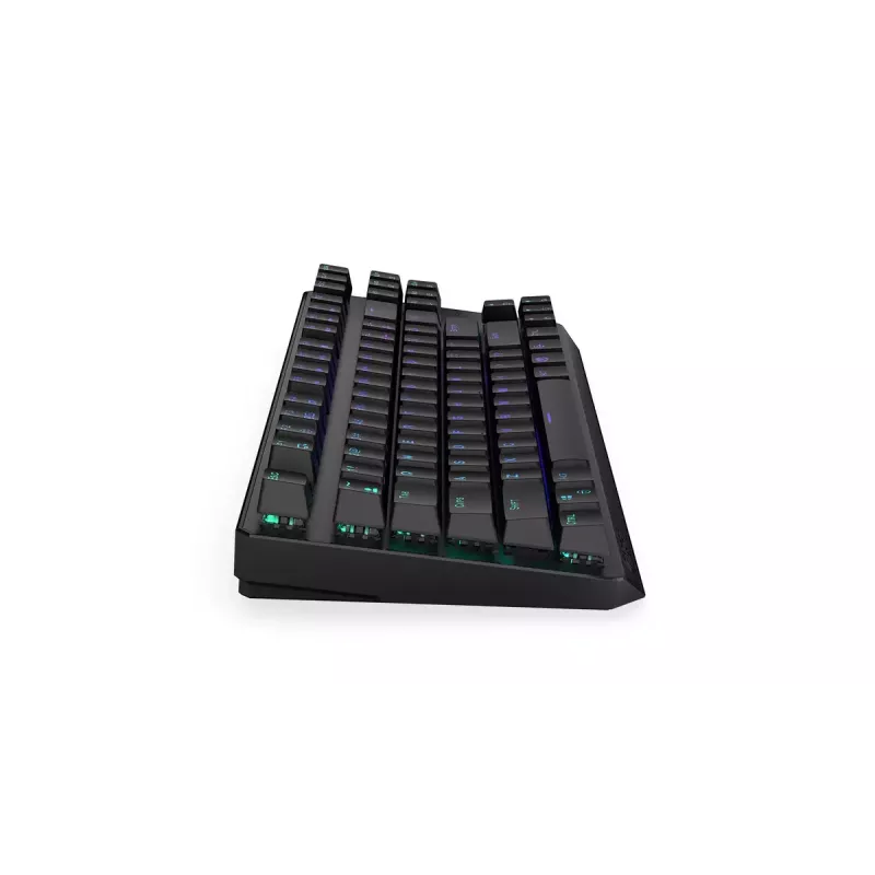 Tastatur ENDORFY Thock TKL Wireless Schwarz Mechanisch RGB LED 87 Tasten