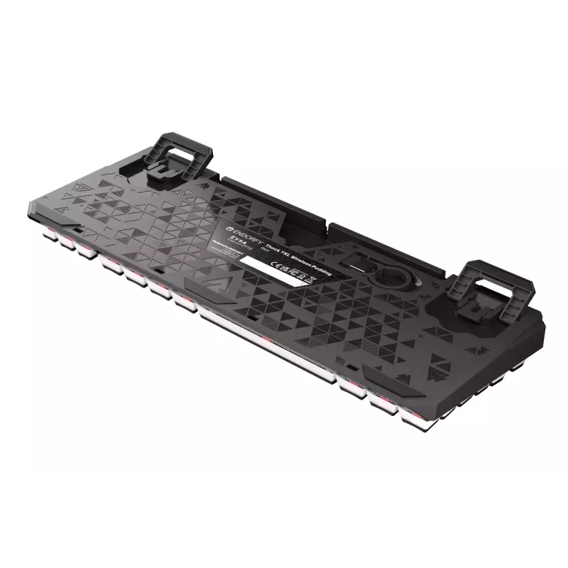 Gaming Tastatur ENDORFY TKL USB Mechanisch 87 Tasten RGB Schwarz