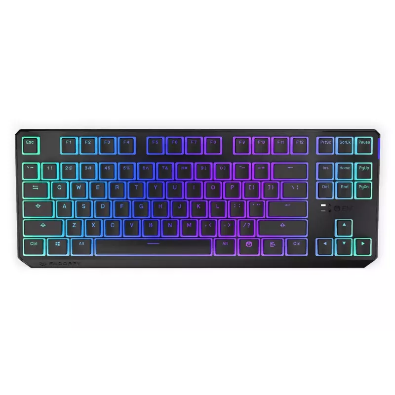 Gaming Tastatur ENDORFY TKL USB Mechanisch 87 Tasten RGB Schwarz