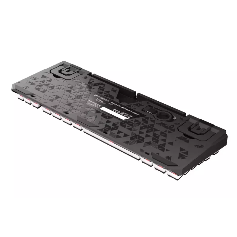 Gaming Tastatur ENDORFY TKL USB Mechanisch 87 Tasten RGB Schwarz